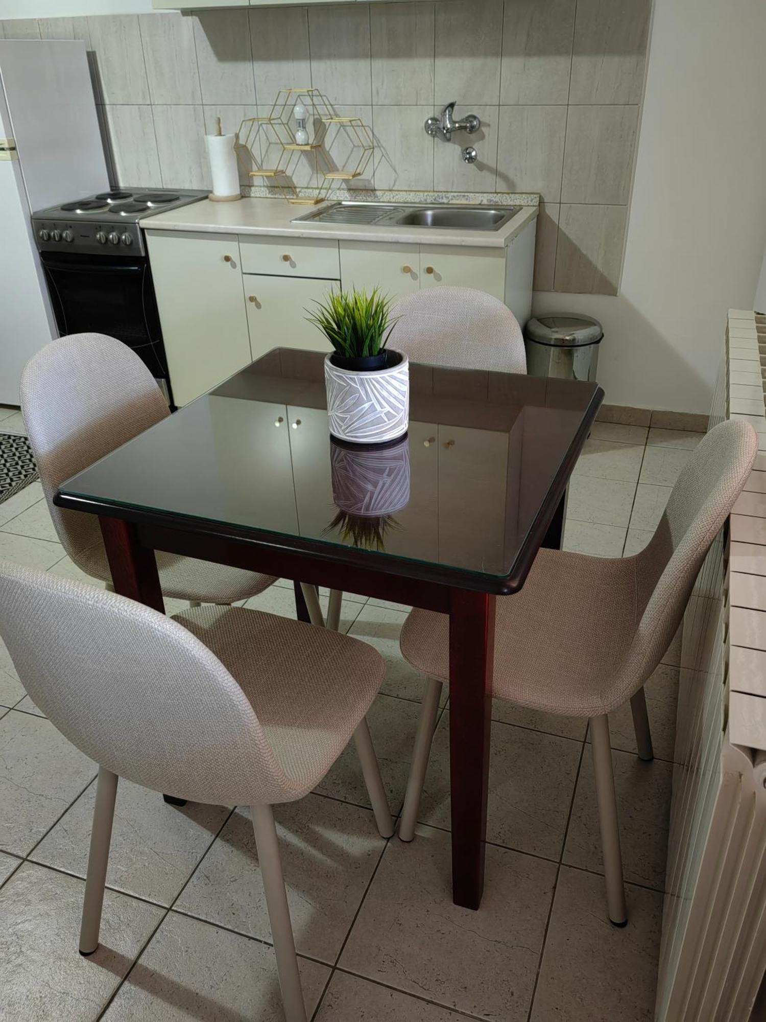 Orient Apartman Sremska Kamenica Bagian luar foto